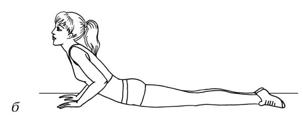 Иллюстрация к книге — Омоложение. Краткая энциклопедия [i_057.jpg]