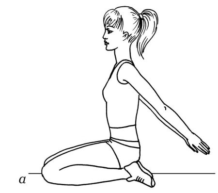 Иллюстрация к книге — Омоложение. Краткая энциклопедия [i_068.jpg]