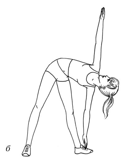 Иллюстрация к книге — Омоложение. Краткая энциклопедия [i_075.jpg]