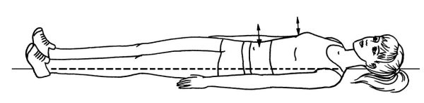 Иллюстрация к книге — Омоложение. Краткая энциклопедия [i_092.jpg]