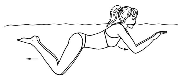 Иллюстрация к книге — Омоложение. Краткая энциклопедия [i_093.jpg]