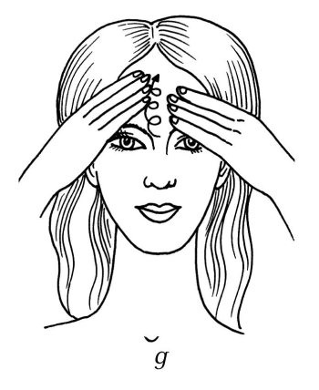 Иллюстрация к книге — Омоложение. Краткая энциклопедия [i_104.jpg]