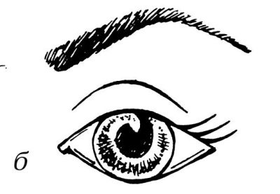 Иллюстрация к книге — Омоложение. Краткая энциклопедия [i_122.jpg]