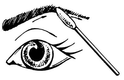 Иллюстрация к книге — Омоложение. Краткая энциклопедия [i_128.jpg]