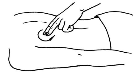 Иллюстрация к книге — Омоложение. Краткая энциклопедия [i_136.jpg]