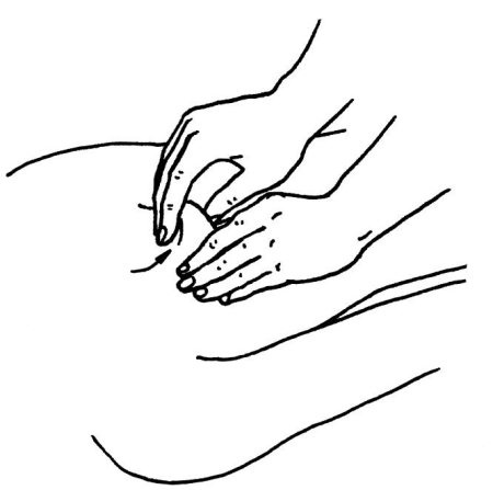 Иллюстрация к книге — Омоложение. Краткая энциклопедия [i_137.jpg]