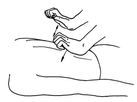 Иллюстрация к книге — Омоложение. Краткая энциклопедия [i_138.jpg]