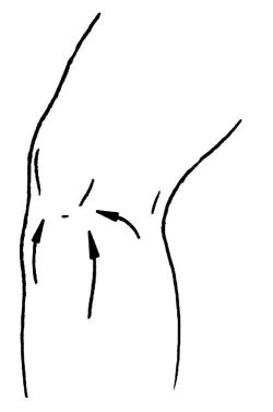 Иллюстрация к книге — Омоложение. Краткая энциклопедия [i_141.jpg]