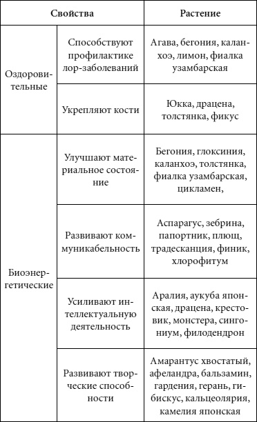 Иллюстрация к книге — Целительные свойства комнатных растений [autogen_ebook_id61.jpg]