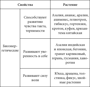 Иллюстрация к книге — Целительные свойства комнатных растений [autogen_ebook_id62.jpg]