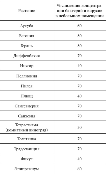 Иллюстрация к книге — Целительные свойства комнатных растений [autogen_ebook_id64.jpg]