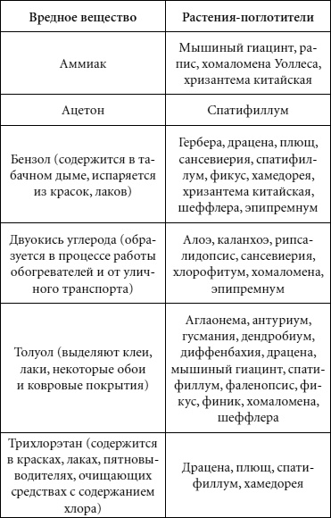Иллюстрация к книге — Целительные свойства комнатных растений [autogen_ebook_id65.jpg]
