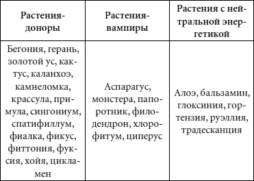 Иллюстрация к книге — Целительные свойства комнатных растений [autogen_ebook_id67.jpg]