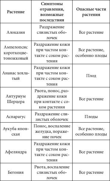 Иллюстрация к книге — Целительные свойства комнатных растений [autogen_ebook_id70.jpg]