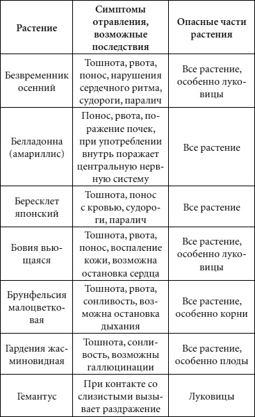 Иллюстрация к книге — Целительные свойства комнатных растений [autogen_ebook_id71.jpg]