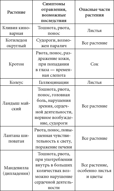Иллюстрация к книге — Целительные свойства комнатных растений [autogen_ebook_id74.jpg]