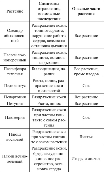 Иллюстрация к книге — Целительные свойства комнатных растений [autogen_ebook_id76.jpg]