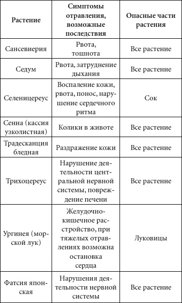 Иллюстрация к книге — Целительные свойства комнатных растений [autogen_ebook_id78.jpg]
