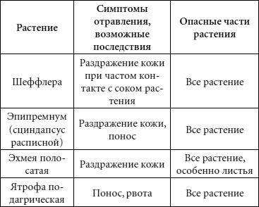 Иллюстрация к книге — Целительные свойства комнатных растений [autogen_ebook_id80.jpg]