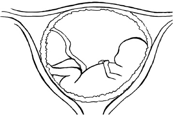 Иллюстрация к книге — Главная книга о женском здоровье [i_007.jpg]