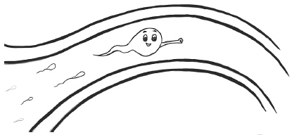 Иллюстрация к книге — Главная книга о женском здоровье [i_008.jpg]