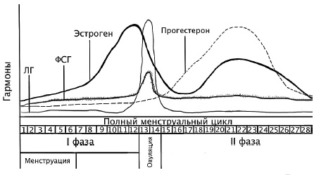 Иллюстрация к книге — Главная книга о женском здоровье [i_012.jpg]