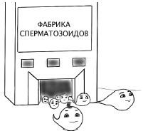 Иллюстрация к книге — Главная книга о женском здоровье [i_019.jpg]