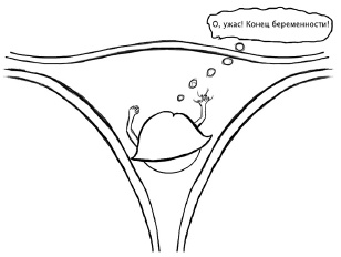 Иллюстрация к книге — Главная книга о женском здоровье [i_027.jpg]