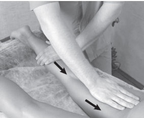 Иллюстрация к книге — Боль в спине. Как определить причину и устранить приступ [i_022.jpg]