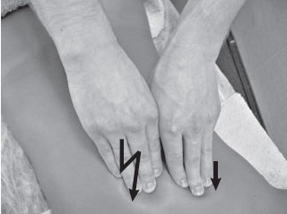 Иллюстрация к книге — Боль в спине. Как определить причину и устранить приступ [i_025.jpg]