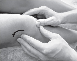 Иллюстрация к книге — Боль в спине. Как определить причину и устранить приступ [i_026.jpg]