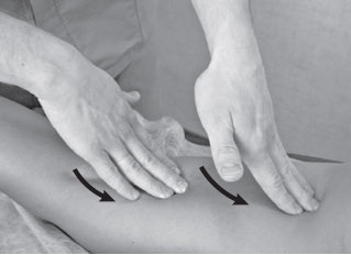 Иллюстрация к книге — Боль в спине. Как определить причину и устранить приступ [i_031.jpg]