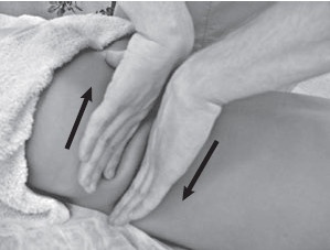 Иллюстрация к книге — Боль в спине. Как определить причину и устранить приступ [i_033.jpg]