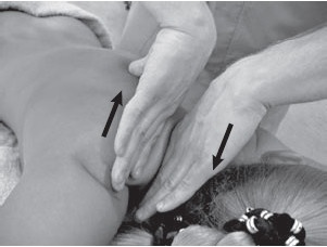 Иллюстрация к книге — Боль в спине. Как определить причину и устранить приступ [i_034.jpg]