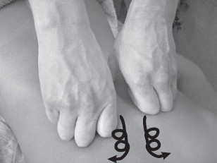 Иллюстрация к книге — Боль в спине. Как определить причину и устранить приступ [i_051.jpg]