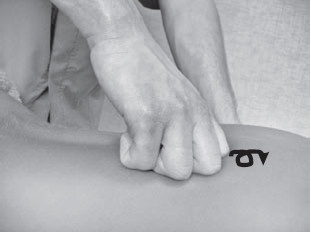 Иллюстрация к книге — Боль в спине. Как определить причину и устранить приступ [i_052.jpg]