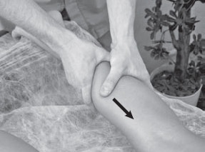 Иллюстрация к книге — Боль в спине. Как определить причину и устранить приступ [i_060.jpg]