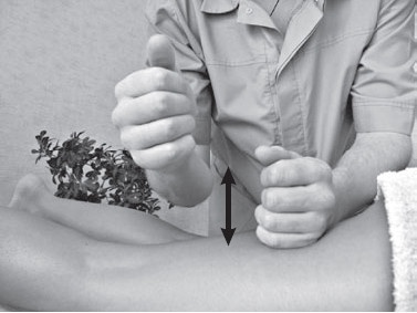 Иллюстрация к книге — Боль в спине. Как определить причину и устранить приступ [i_071.jpg]