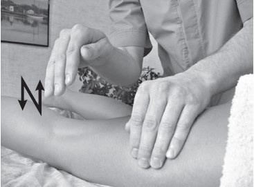 Иллюстрация к книге — Боль в спине. Как определить причину и устранить приступ [i_073.jpg]