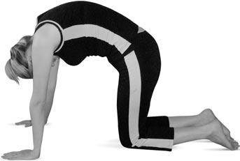 Иллюстрация к книге — Боль в спине. Как определить причину и устранить приступ [i_110.jpg]