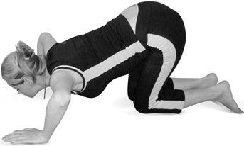 Иллюстрация к книге — Боль в спине. Как определить причину и устранить приступ [i_111.jpg]