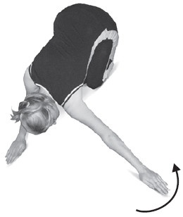 Иллюстрация к книге — Боль в спине. Как определить причину и устранить приступ [i_115.jpg]