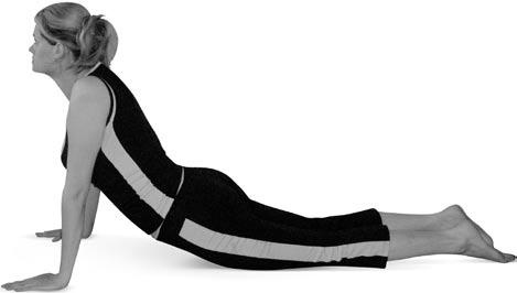 Иллюстрация к книге — Боль в спине. Как определить причину и устранить приступ [i_121.jpg]