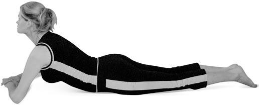 Иллюстрация к книге — Боль в спине. Как определить причину и устранить приступ [i_123.jpg]