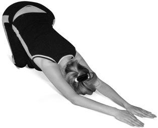 Иллюстрация к книге — Боль в спине. Как определить причину и устранить приступ [i_160.jpg]