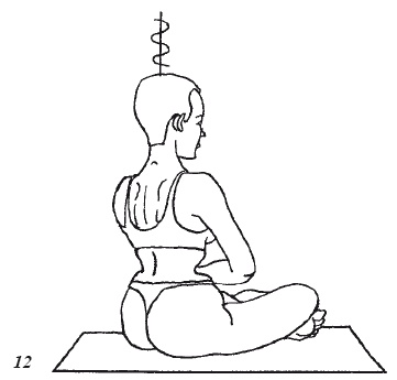 Иллюстрация к книге — Настольная книга для истинной женщины. Секреты естественного омоложения и очищения организма [i_012.jpg]