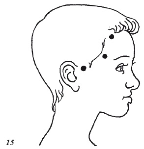 Иллюстрация к книге — Настольная книга для истинной женщины. Секреты естественного омоложения и очищения организма [i_015.jpg]