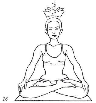 Иллюстрация к книге — Настольная книга для истинной женщины. Секреты естественного омоложения и очищения организма [i_016.jpg]