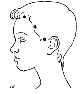 Иллюстрация к книге — Настольная книга для истинной женщины. Секреты естественного омоложения и очищения организма [i_018.jpg]