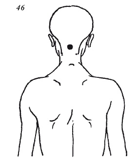 Иллюстрация к книге — Настольная книга для истинной женщины. Секреты естественного омоложения и очищения организма [i_056.jpg]